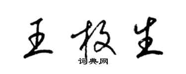 梁錦英王枚生草書個性簽名怎么寫