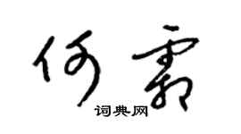 梁錦英何霜草書個性簽名怎么寫