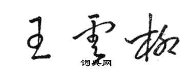 駱恆光王雲柳草書個性簽名怎么寫