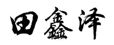 胡問遂田鑫澤行書個性簽名怎么寫