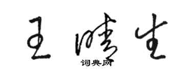 駱恆光王晴生草書個性簽名怎么寫