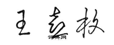駱恆光王喜枚草書個性簽名怎么寫