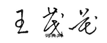 駱恆光王茂花草書個性簽名怎么寫