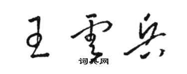 駱恆光王雲兵草書個性簽名怎么寫