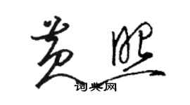 駱恆光黃照草書個性簽名怎么寫