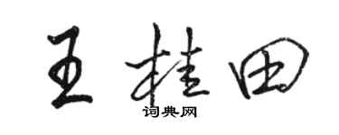 駱恆光王桂田行書個性簽名怎么寫