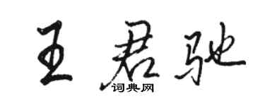 駱恆光王君馳行書個性簽名怎么寫