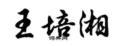 胡問遂王培湘行書個性簽名怎么寫