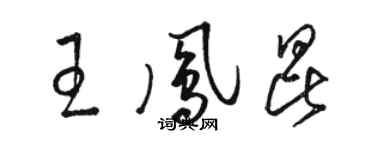 駱恆光王鳳昆草書個性簽名怎么寫