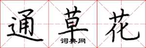 荊霄鵬通草花楷書怎么寫