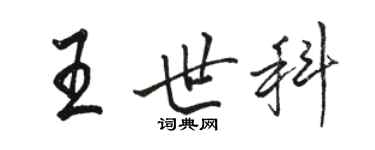 駱恆光王世科行書個性簽名怎么寫
