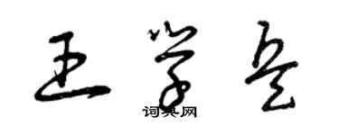 曾慶福王學兵草書個性簽名怎么寫