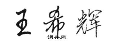 駱恆光王希輝行書個性簽名怎么寫