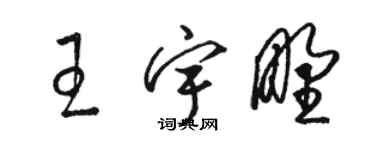 駱恆光王宇野草書個性簽名怎么寫