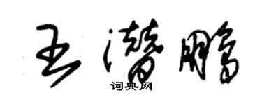 朱錫榮王潛鵬草書個性簽名怎么寫