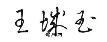 駱恆光王城玉草書個性簽名怎么寫