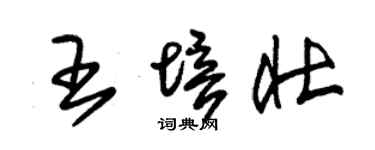 朱錫榮王培壯草書個性簽名怎么寫