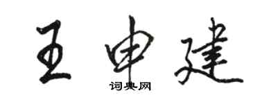 駱恆光王申建行書個性簽名怎么寫