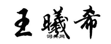 胡問遂王曦希行書個性簽名怎么寫