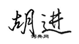 駱恆光胡進行書個性簽名怎么寫
