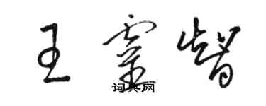 駱恆光王靈智草書個性簽名怎么寫