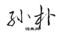 駱恆光孫朴行書個性簽名怎么寫