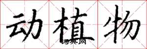 丁謙動植物楷書怎么寫