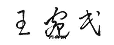 駱恆光王宛民草書個性簽名怎么寫