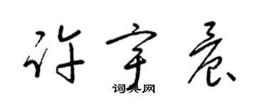 梁錦英許宇晨草書個性簽名怎么寫