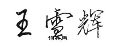 駱恆光王雪輝行書個性簽名怎么寫