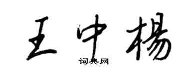 王正良王中楊行書個性簽名怎么寫