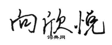 駱恆光向欣悅行書個性簽名怎么寫