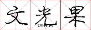 龐中華文光果行書怎么寫