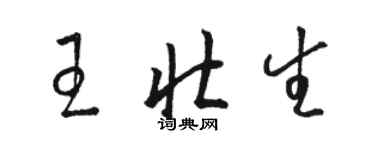 駱恆光王壯生草書個性簽名怎么寫