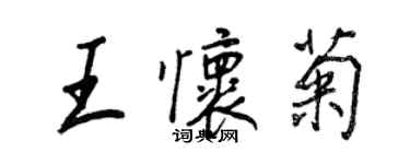 王正良王懷菊行書個性簽名怎么寫