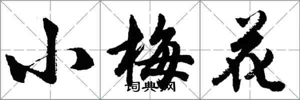 胡問遂小梅花行書怎么寫