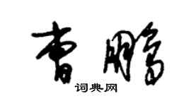 朱錫榮曹鵬草書個性簽名怎么寫