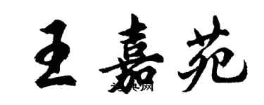 胡問遂王嘉苑行書個性簽名怎么寫