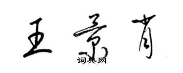 梁錦英王景肖草書個性簽名怎么寫