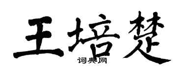 翁闓運王培楚楷書個性簽名怎么寫