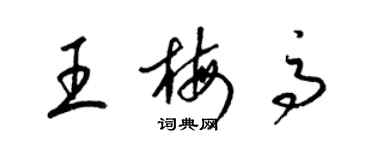 梁錦英王梅高草書個性簽名怎么寫