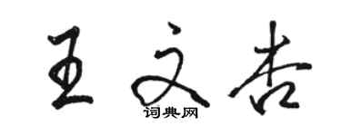 駱恆光王文杏行書個性簽名怎么寫