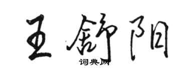 駱恆光王舒陽行書個性簽名怎么寫