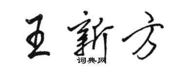 駱恆光王新方行書個性簽名怎么寫