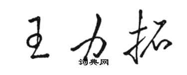 駱恆光王力拓草書個性簽名怎么寫