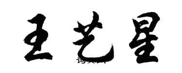 胡問遂王藝星行書個性簽名怎么寫