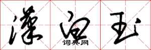 朱錫榮漢白玉草書怎么寫