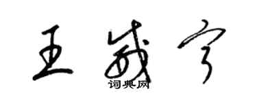 梁錦英王威寧草書個性簽名怎么寫