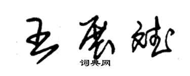 朱錫榮王展斌草書個性簽名怎么寫