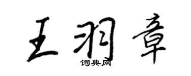 王正良王羽章行書個性簽名怎么寫